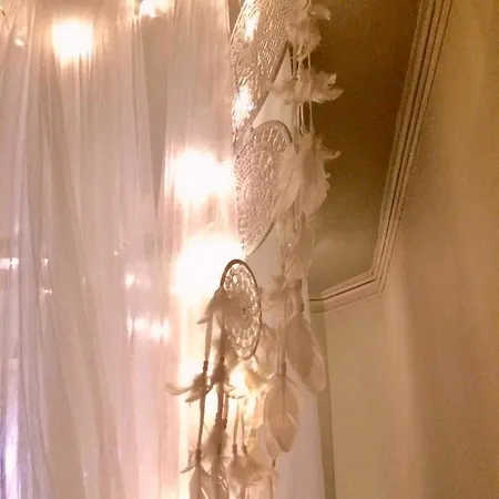 Mimhostel *